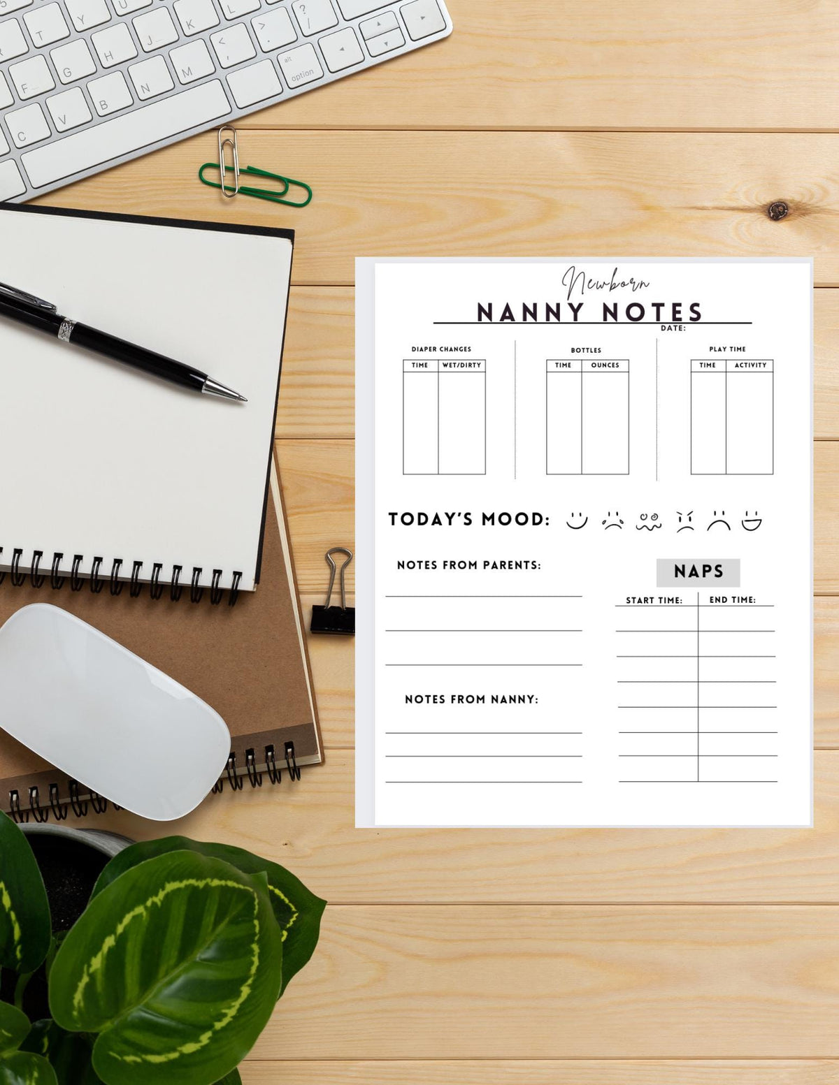 Nanny Notes